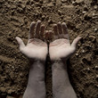 Studio shot of man's hands on dirt