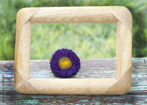 Photo: purple flower framed purple flower framed