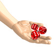 Die Spielwürfel