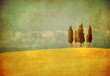 vintage tuscan landscape
