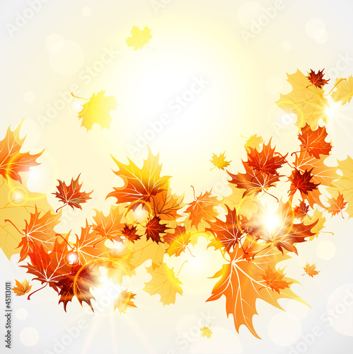 Vector: Maple leaves background Maple leaves background