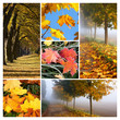 Autumn collage