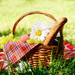 Picnic basket