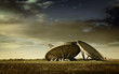 military radar dishes
