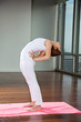 Fit Young Woman Practicing Yoga