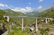 Train driving on large bridge and viaduct