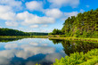 Forest lake