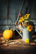 Foto: Garden shed with tools, pumpkin and flowers Garden shed with tools, pumpkin and flowers