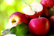 .ripe red apples on table