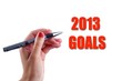 2013 Goals