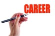 Career