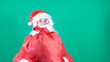 Video: Santa Clause Santa Clause