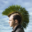 Photo: man with a grass mohawk man with a grass mohawk