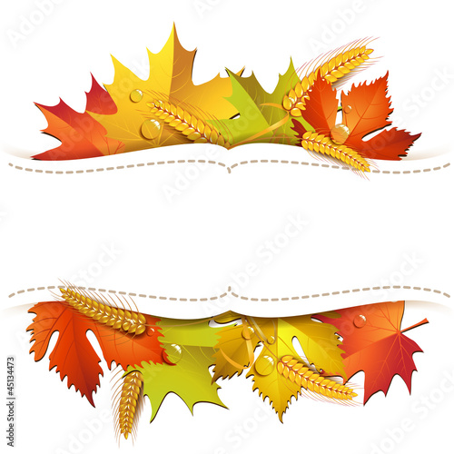 Vector: White background with autumn colorful leaves White background with autumn colorful leaves