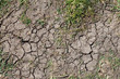 Dry land