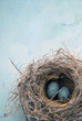 Eggs In a Nest