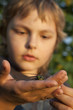 Little boy with dragonfly