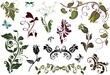 Decorative elements