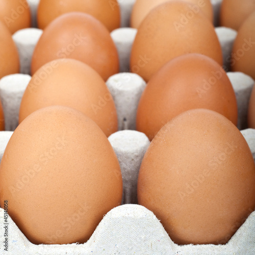 Photo: Eggs Eggs
