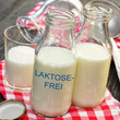 Laktose