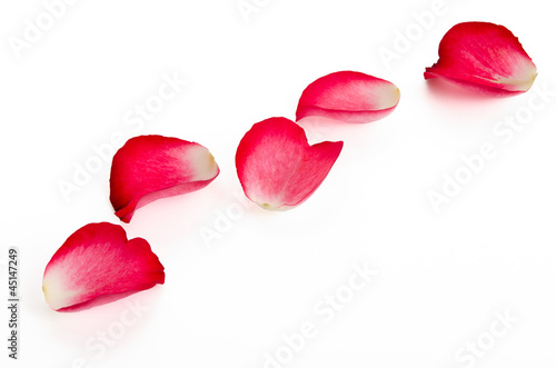 Photo: Rosenblütenblätter Rosenblütenblätter