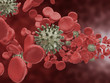 Red Blood Cells and Viruses Flowing Through Vein