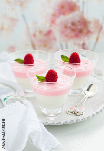 Photo: Raspberry yogurt dessert Raspberry yogurt dessert