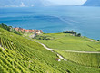 Lavaux region