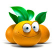 Pamplemousse TOON