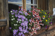 Blumenschmuck auf Almhütte