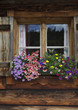 Blumenschmuck auf Almhütte