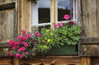 Blumenschmuck auf Almhütte
