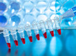 DNA paternity