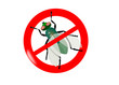 Mouche
