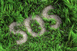 grass sos