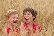 children in a wheat field