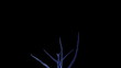 Growing up tree animated in x-ray