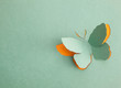 Butterfly origami