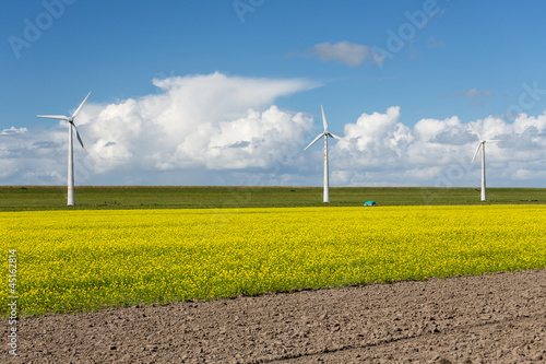 Photo: Dutch windturbines behind a yellow coleseed field Dutch windturbines behind a yellow coleseed field