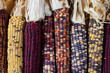 Indian Corn