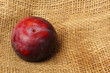 Foto: Pflaume / close-up Pflaume / close-up