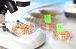 Corn Hybrid Selection genetic biotechnology