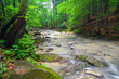 Rough River