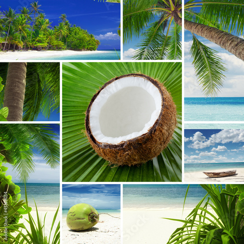 Photo: Tropic theme collage composed of different images Tropic theme collage composed of different images