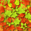 Autumn Background with Leaves