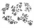 traditional paisley floral designs, Rajasthan, royal India