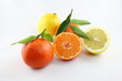 citrus fruits