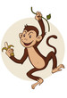 monkey hanging from a branch of a tree