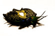 Masque5