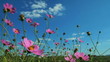 Blue summer sky and one Bee pollinate pink flower